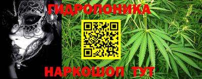 PSILOCYBIN Ликино-Дулёво