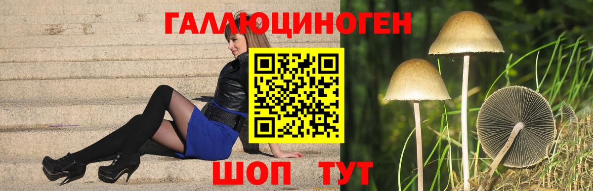 Галлюциногенные грибы Psilocybe  Вход с VPN  Волгоград 